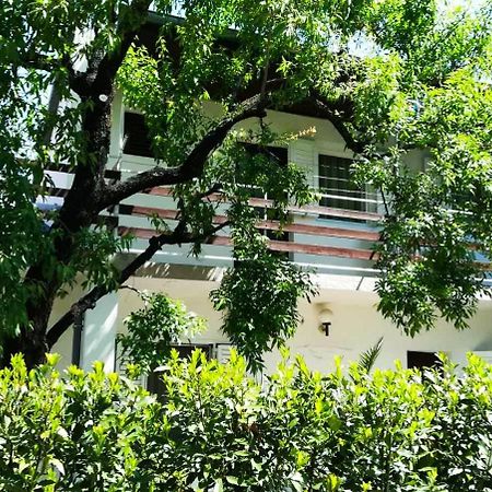 Felix Apartment Biograd Biograd Na Moru Exteriör bild