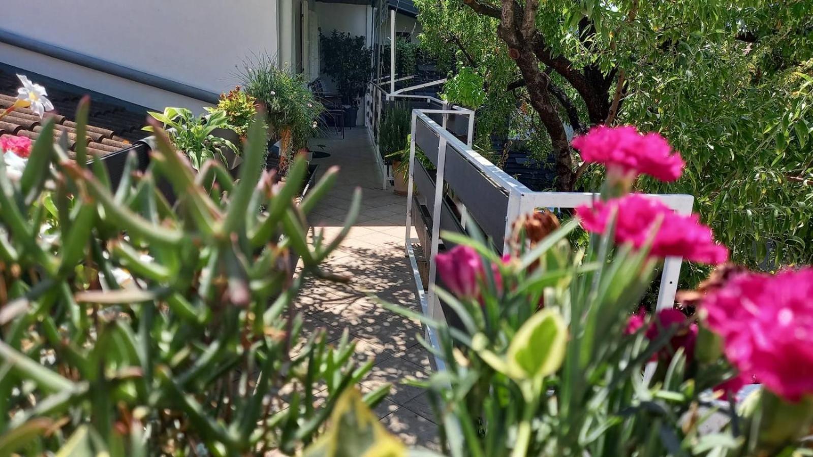 Felix Apartment Biograd Biograd Na Moru Exteriör bild